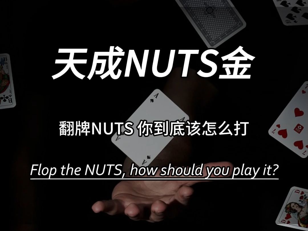 天成NUTS金
