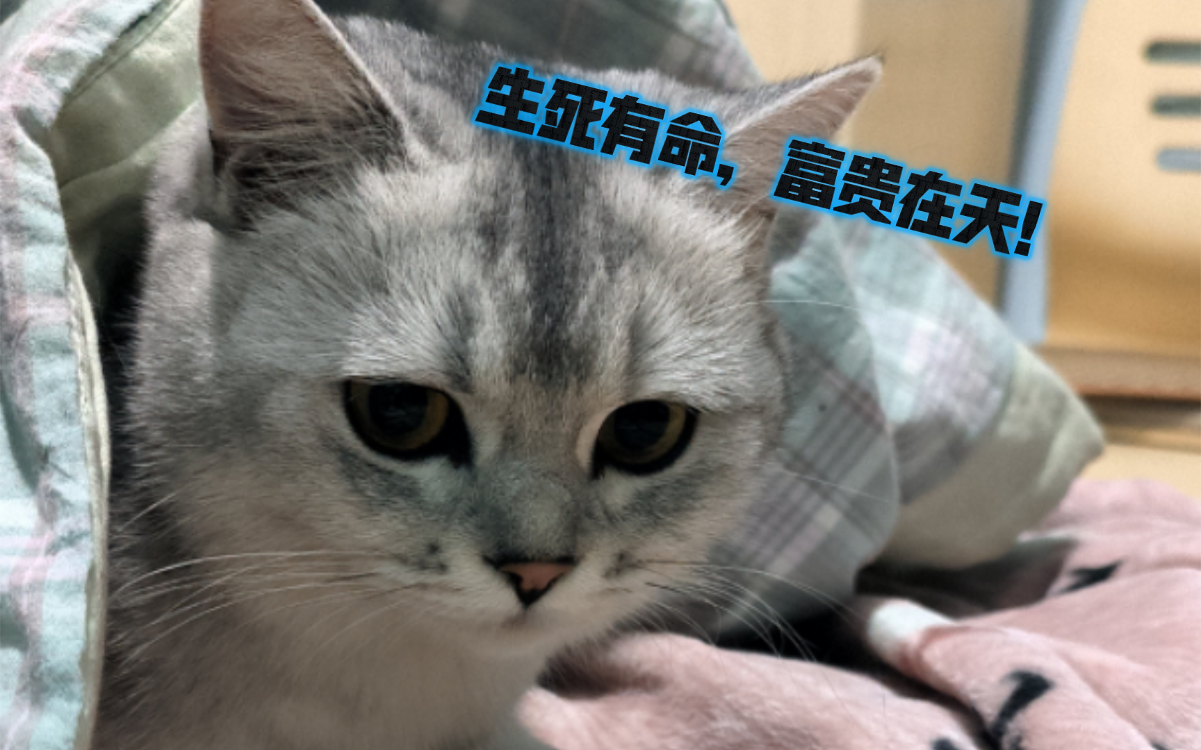 生死有命系列第一弹